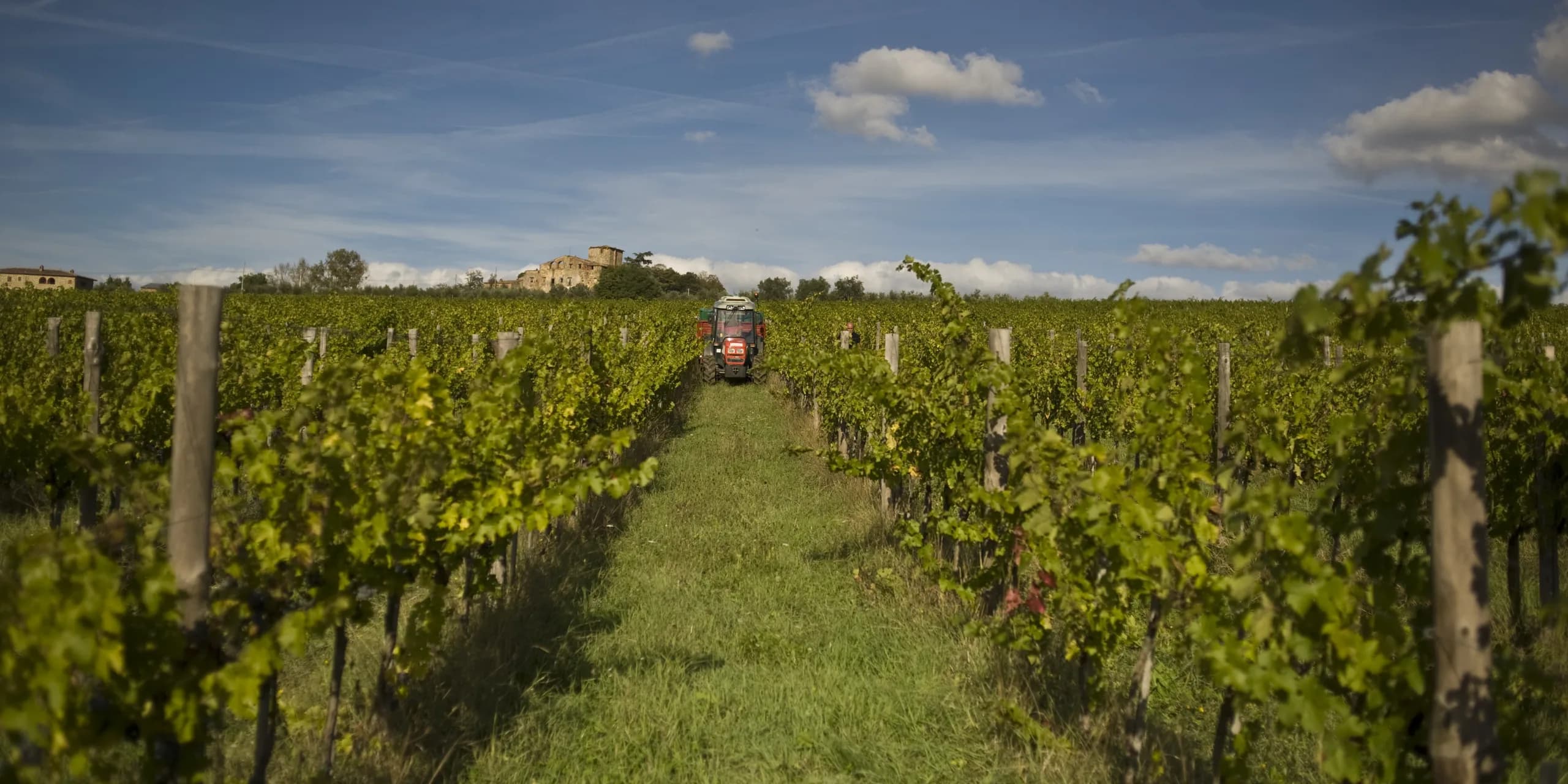 I filari di Tunia verso il castello di Dorna