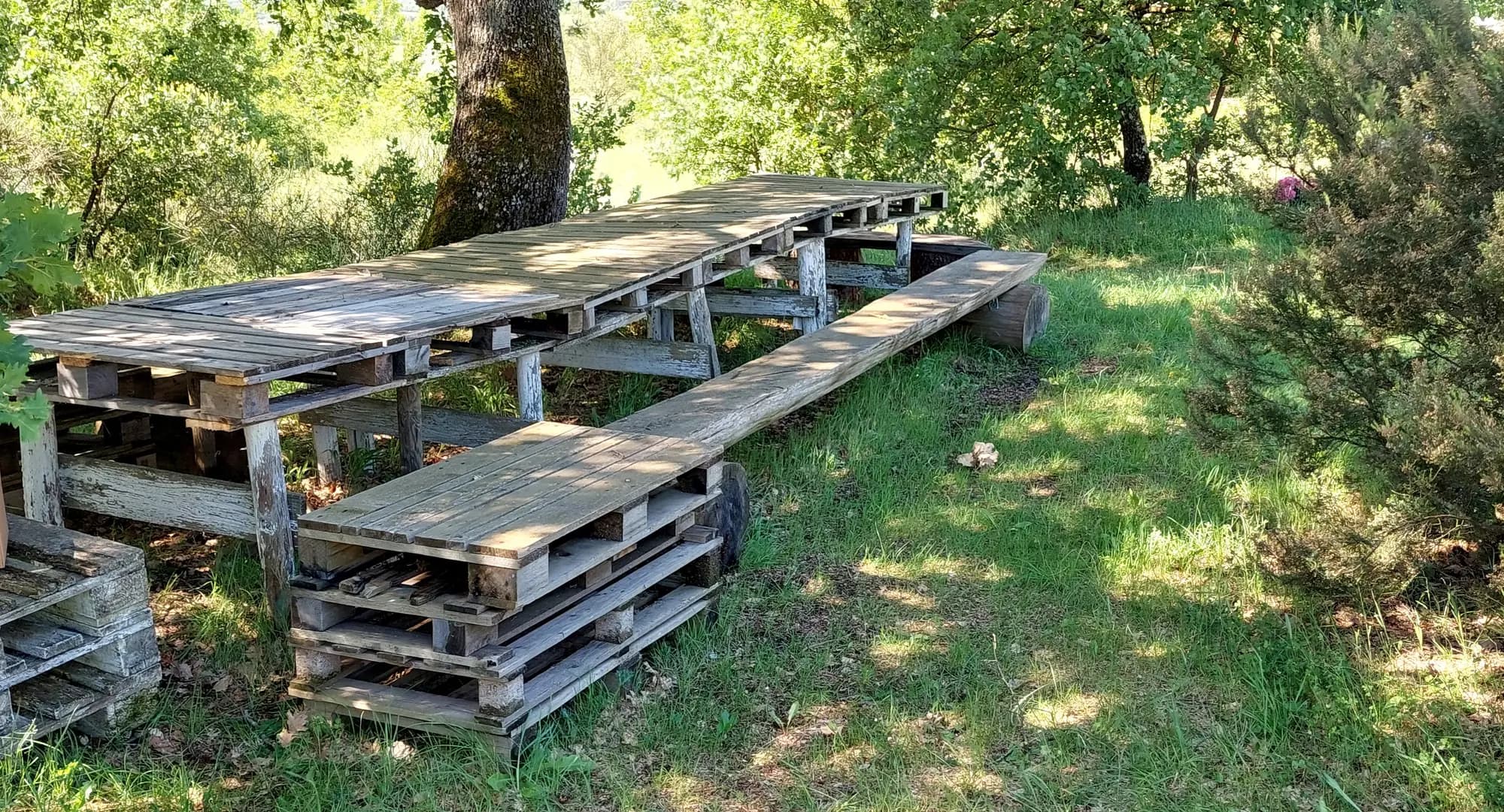 La lunga tavolata in legno di recupero all'ombra della quercia, a Tunia